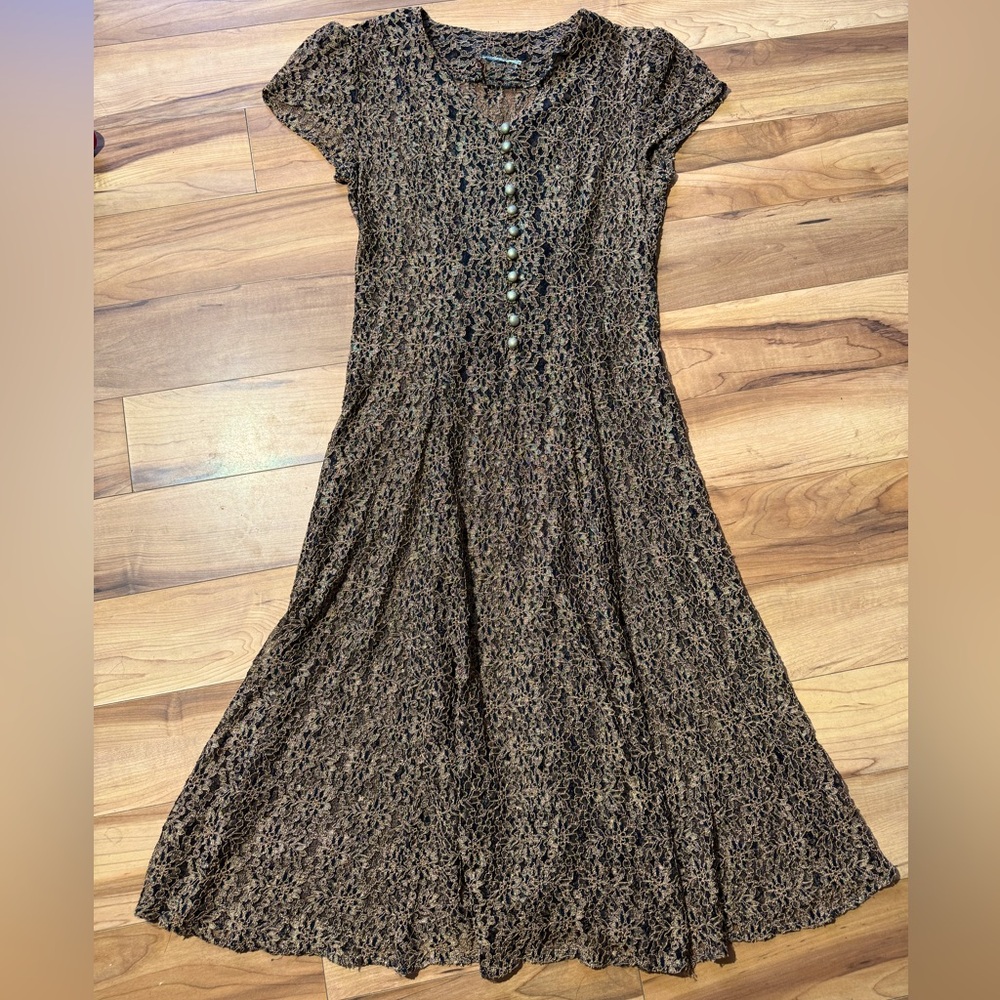 Vintage Sheer Lacey Dress with Adjustable Waist